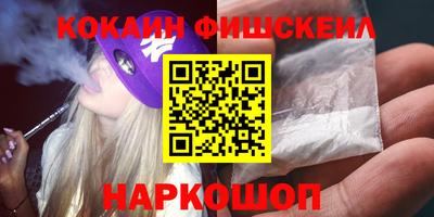 индика Бийск