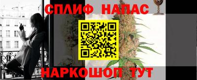 гидра Берёзовский
