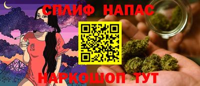 индика Бийск