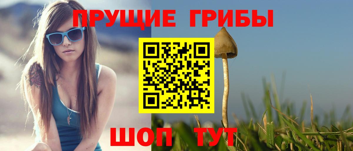 Галлюциногенные грибы Psilocybe Зеленогорск